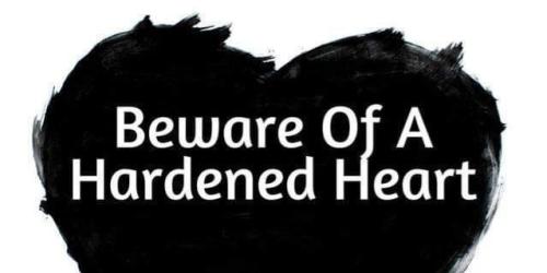 36fcf6df-5b07-45a9-ba0a-0d09a7c577e0