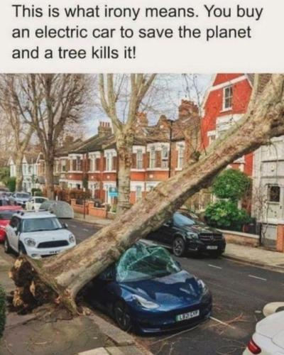 F41E6CC2-1C06-43EB-B367-12B3DAFD5AFD