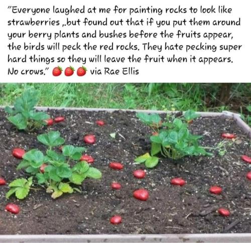 C242A63F-8C42-47F9-898F-C5C457C884D6