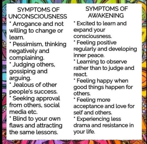 IMG_20241119_031438_355