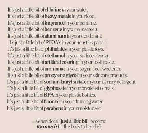 photo_2024-11-26_16-37-59