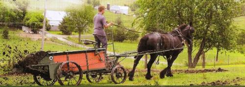 a_manure spreader_with_horse