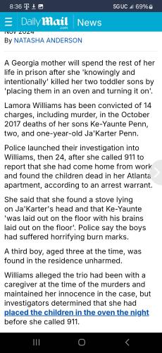 Screenshot_20241118_203622_Twellit