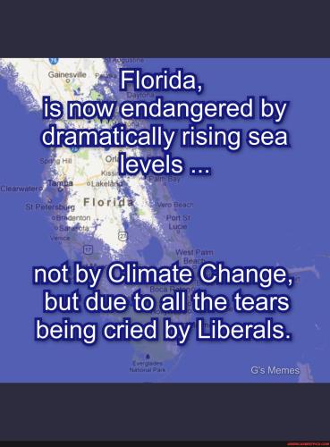 60e2e3468d41b1aff456ecdc626b751a3948c32ec153897bf584f67593991784_1