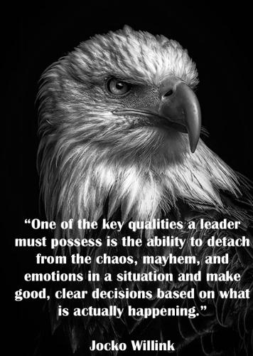 Eagle leader & Emotions