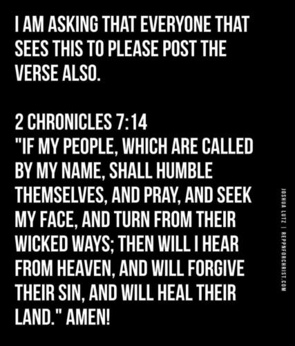 Screenshot_20241104-204150_Wimkin Free Speech Social Media