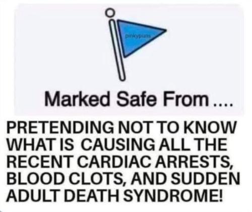 photo_2024-11-30_14-08-02