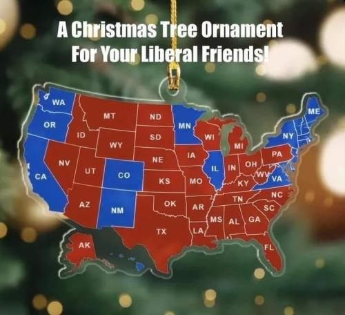 image_B25E3B49-FCE7-4D84-B1BB-F72DF2A16C8E