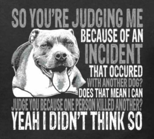 8c4d5c546b2bcbaa766f0d95d80a8afa