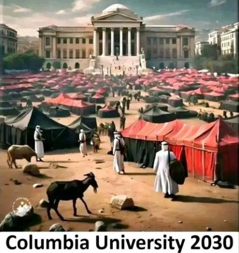 20241113_005914