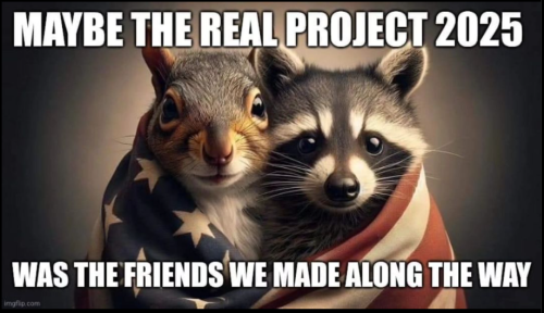 Screenshot 2024-11-07 134928