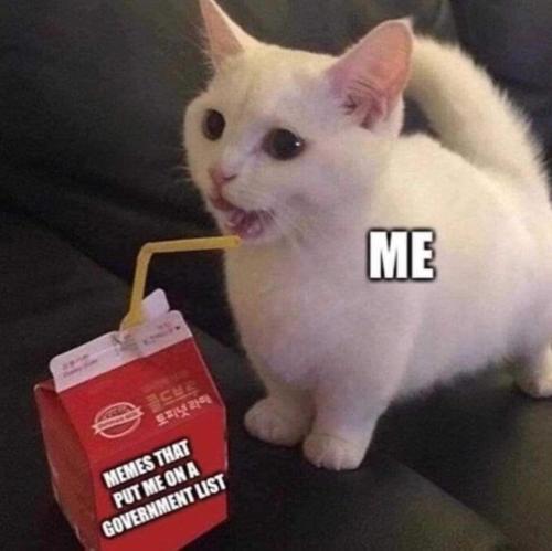 image_5633AAD6-7B3D-4B3F-B5A2-914955CAEE7A