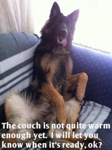 be3e48082e8b1908bc4ed57270a2c3a5