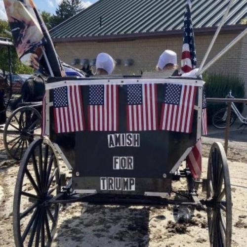 photo_2024-11-07_20-12-07