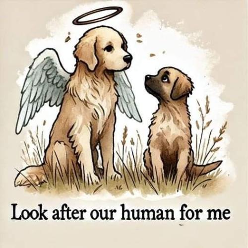 1aa1f75f3cf96b95ed63eb0bd4bf944b