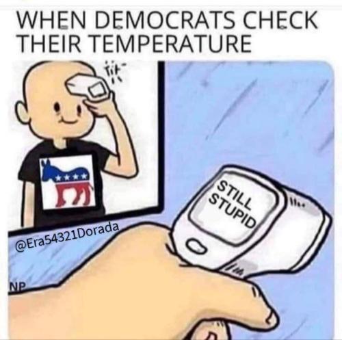 photo_2024-11-16_14-03-28