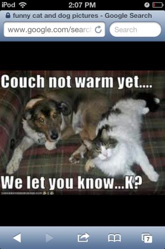 62aeb16642a263f8edd629bc7a56a36e