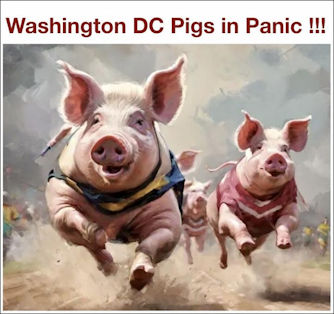 pigs in Washington DC