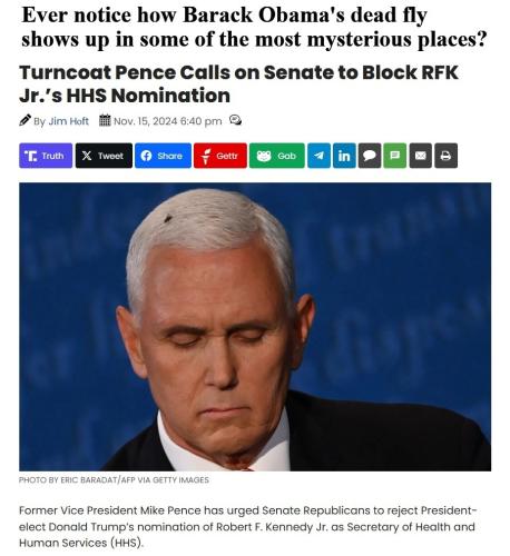 Barack Obama's dead fly shows up in mysterious places