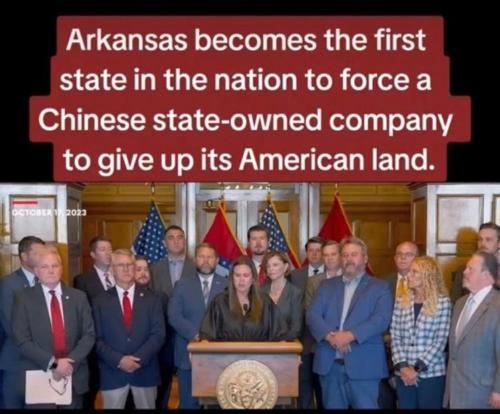 IMG_20241121_125714_876