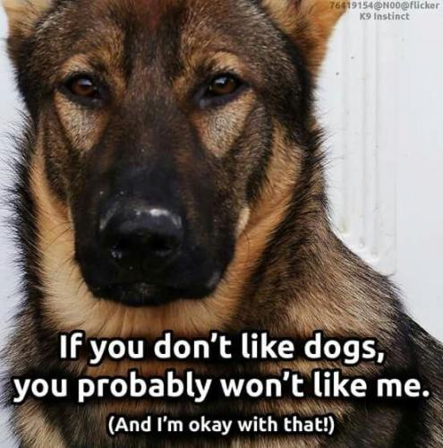 fb34d322612c28df6ec744b8b06d0707