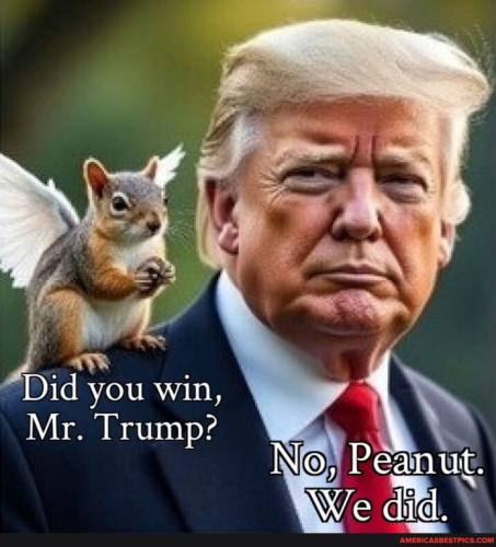 2907c02bacaa08b47d7748b6eff041f1ab1b4f6ddfa25d1fa658e0e685a7c6a8_1