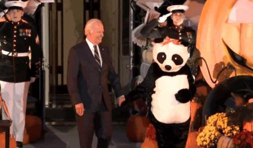 photo_2024-10-31_17-14-40