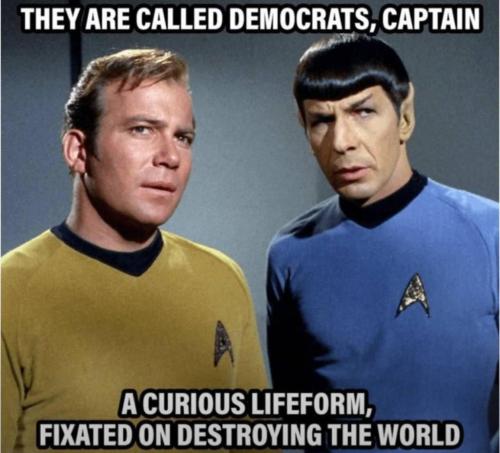 photo_2024-11-12_13-21-32