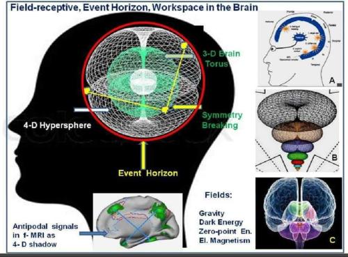 ,          ,  0424775766_746362