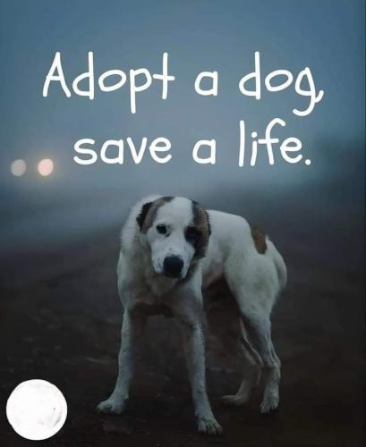 b95546fcec8dec348323d8bdebf04e31