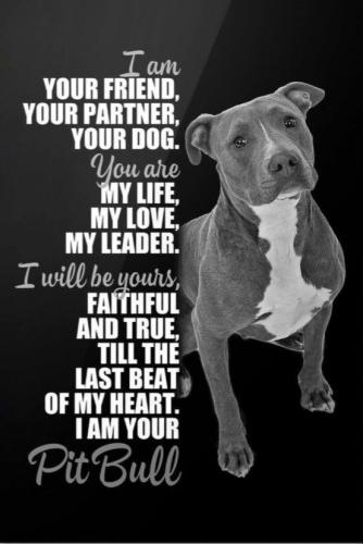 72ccd32eb82af1041a35b838586615a1