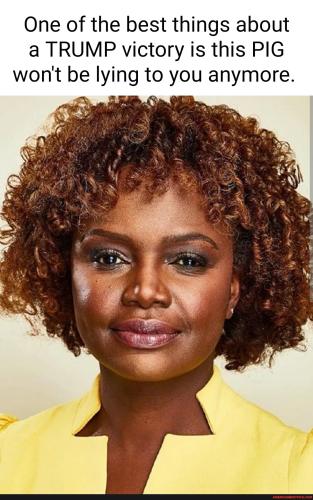 dc6768e9f4f1fe9344cb8616c83d5bc411a8e6bc7f8e35cd683cbbbb6f474e48_1