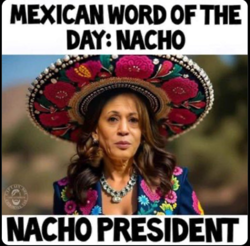 Screenshot 2024-11-22 103156