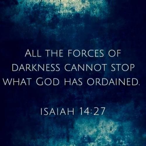 photo_2024-11-02_16-20-06