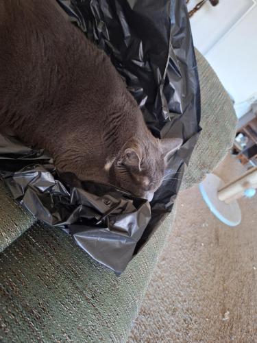 abf61a7f-a967-46ef-87f3-6a08c58d6d7d