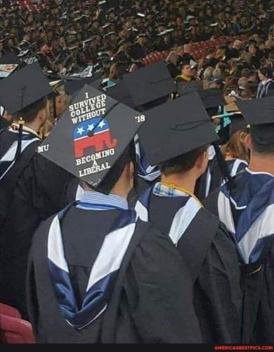 1e49e8095dddafcef252422422a156ed4569e7396287535675f098f97c529fe8_1