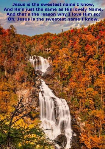 3cbbf3d5-f48e-4917-b566-6fa9de64f007