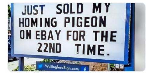 Screenshot_2024-11-24-10-49-08-93_1c337646f29875672b5a61192b9010f9