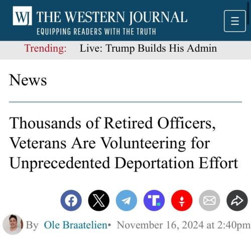 photo_2024-11-20_22-48-41