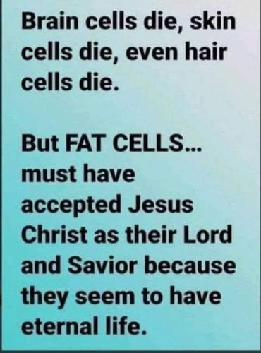 8412A044-BEE6-4EB1-BA9A-6297E48663F0