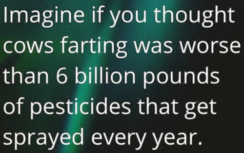 image_2024-11-15_062757963