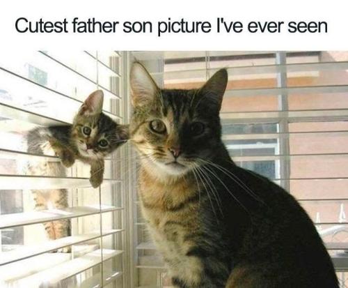 cutest-father-son-picture-ever-seen