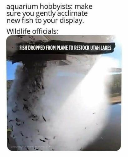 image_85006013-E27F-42DB-A9E3-9008347D09C5