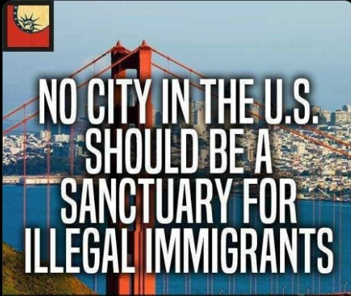 image_2024-11-21_192318852