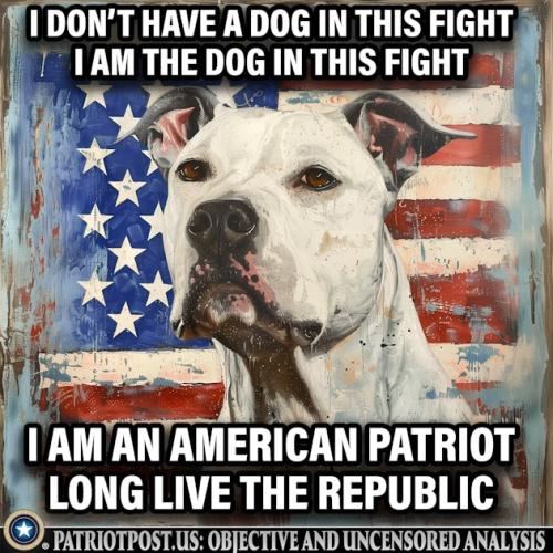 01JBXCDV52PNZ4EH6TS45VMT03