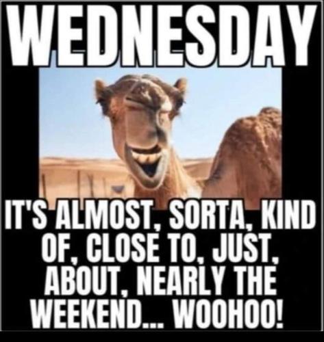 3eaf3d733c7a075be814672801b71aa3