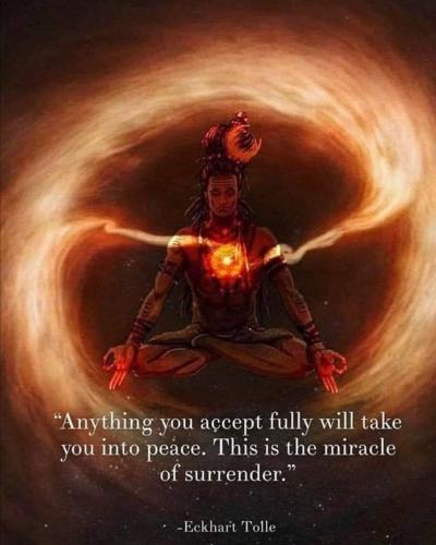 ,       ,        423193798_7468111