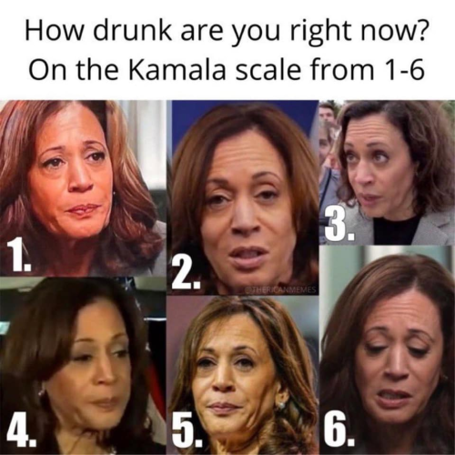 image_2024-11-27_064604865