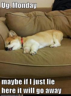 9e33a7c477915e996333237cc071567a