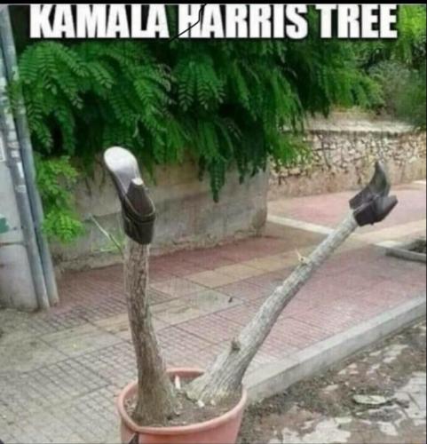 ac7cc9d3-2abd-418a-bce1-84046c60e149